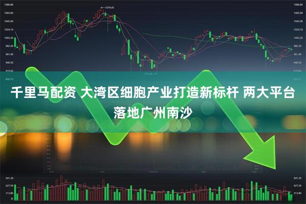 千里马配资 大湾区细胞产业打造新标杆 两大平台落地广州南沙