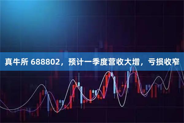 真牛所 688802，预计一季度营收大增，亏损收窄