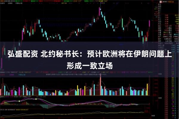 弘盛配资 北约秘书长：预计欧洲将在伊朗问题上形成一致立场