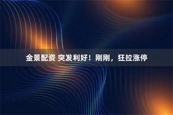 金景配资 突发利好!刚刚,狂拉涨停