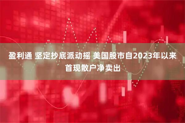 盈利通 坚定抄底派动摇 美国股市自2023年以来首现散户净卖出