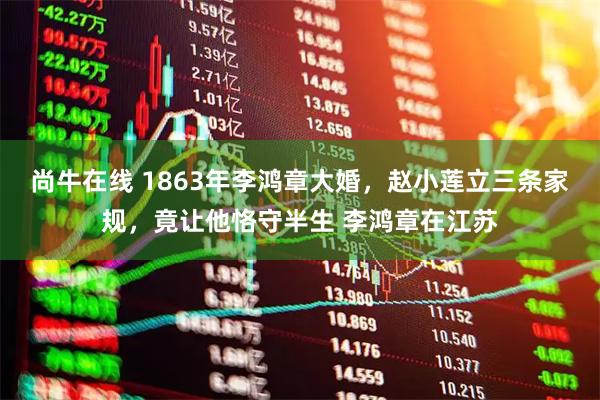 尚牛在线 1863年李鸿章大婚,赵小莲立三条家规,竟让他恪守半生 李鸿章在江苏