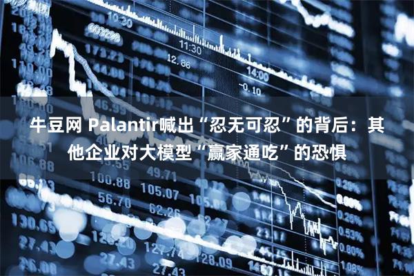 牛豆网 Palantir喊出“忍无可忍”的背后：其他企业对大模型“赢家通吃”的恐惧