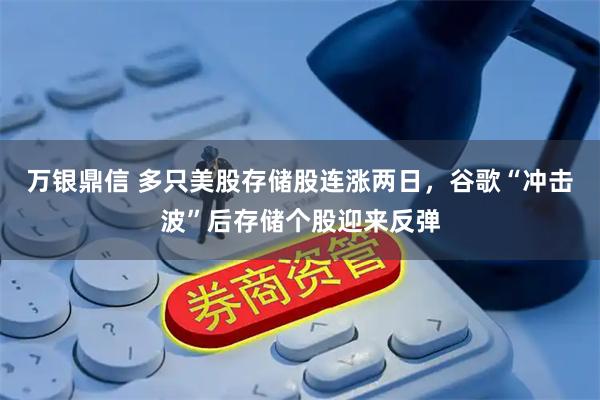 万银鼎信 多只美股存储股连涨两日,谷歌“冲击波”后存储个股迎来反弹