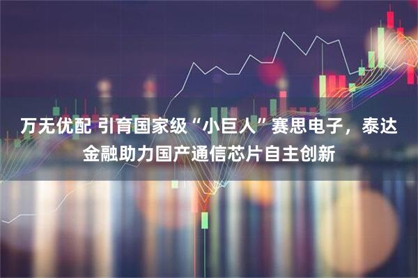万无优配 引育国家级“小巨人”赛思电子，泰达金融助力国产通信芯片自主创新