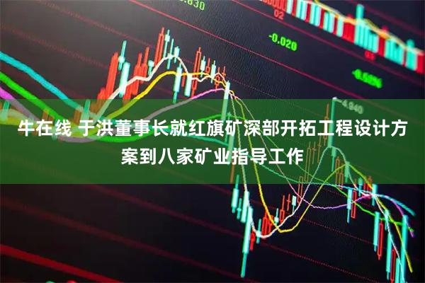 牛在线 于洪董事长就红旗矿深部开拓工程设计方案到八家矿业指导工作
