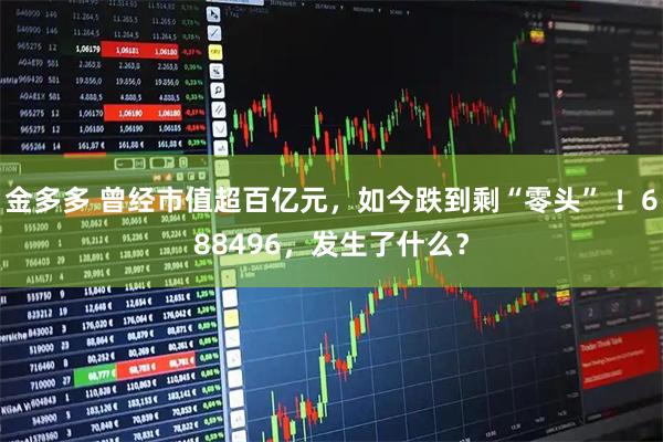 金多多 曾经市值超百亿元，如今跌到剩“零头” ！688496，发生了什么？