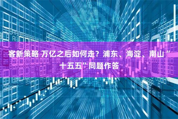 客新策略 万亿之后如何走？浦东、海淀、南山“十五五”同题作答
