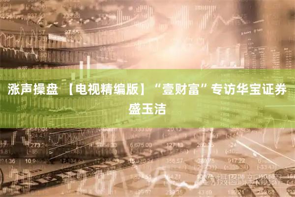 涨声操盘 【电视精编版】“壹财富”专访华宝证券盛玉洁