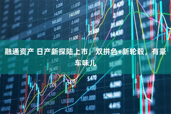 融通资产 日产新探陆上市，双拼色+新轮毂，有豪车味儿