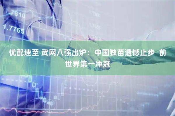 优配速至 武网八强出炉:中国独苗遗憾止步 前世界第一冲冠